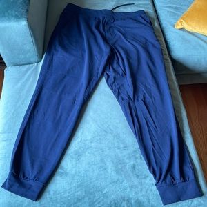 Lululemon Blue Men’s XL Joggers